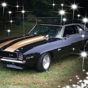 Meet your Posher, Frank